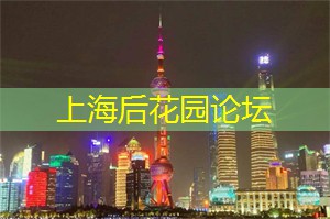 漫步上海后花园，尽情追寻大自然的姿态！